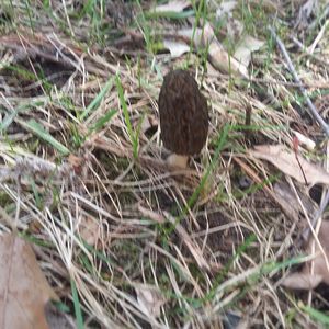 Meet your Posher, Timothy